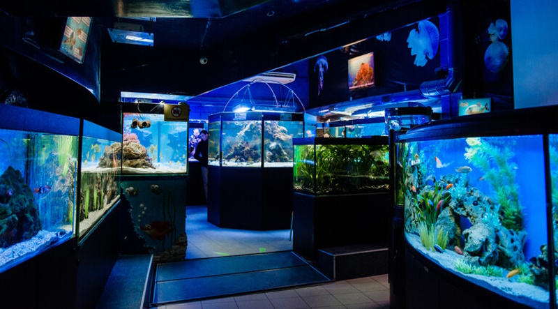 Океанариум в Одессе