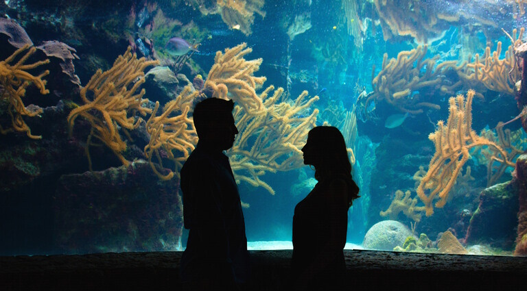 Океанариум в Одессе