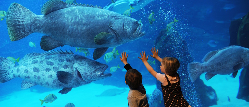 Океанариум в Одессе