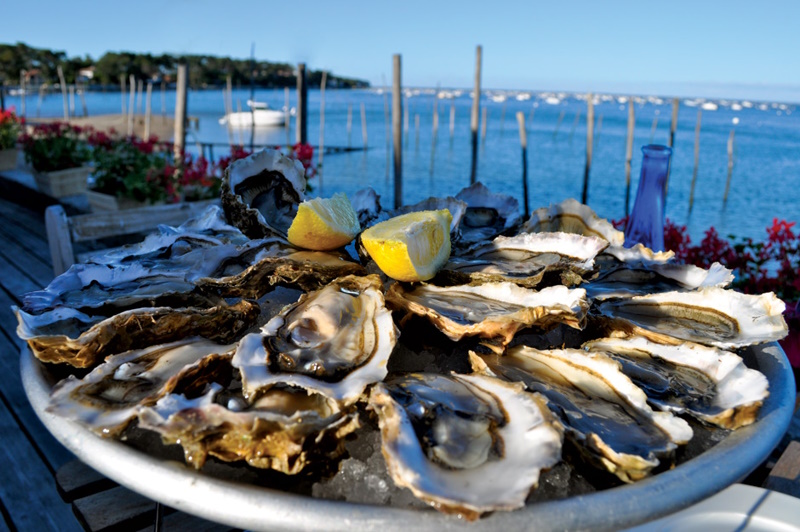 Устричная ферма Одесса